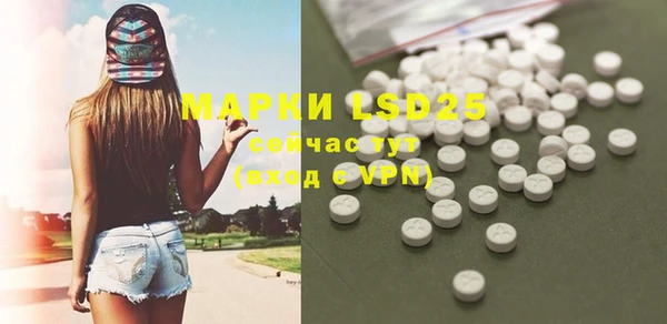 гашик Белокуриха