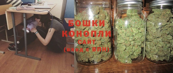 гашик Белокуриха