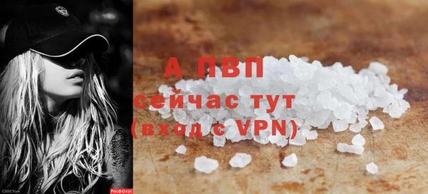 гашик Белокуриха